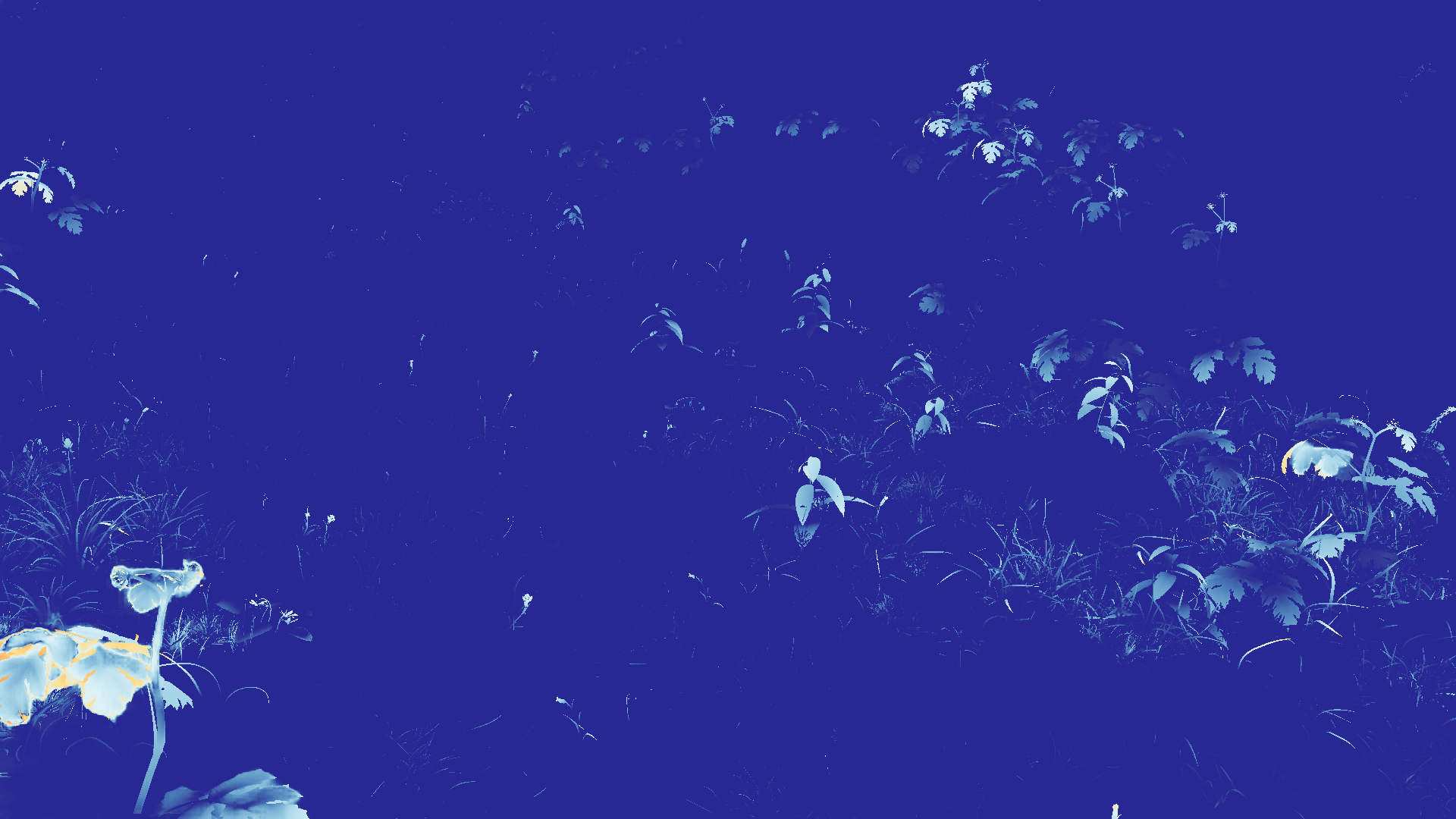 grayscale visualization of optical flow error