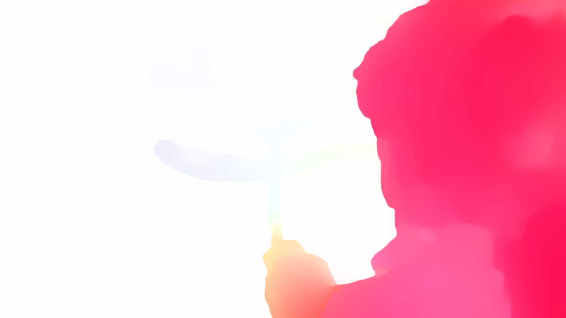 color visualization of optical flow