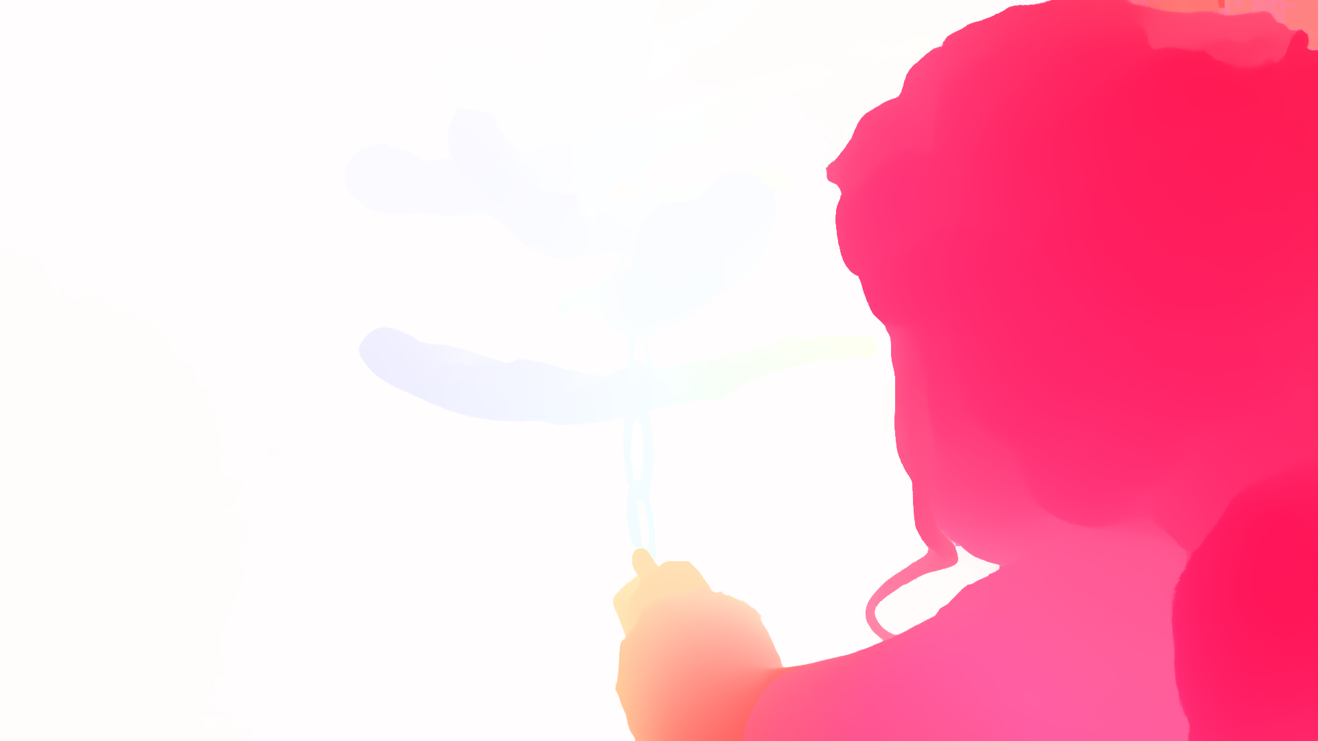 color visualization of optical flow