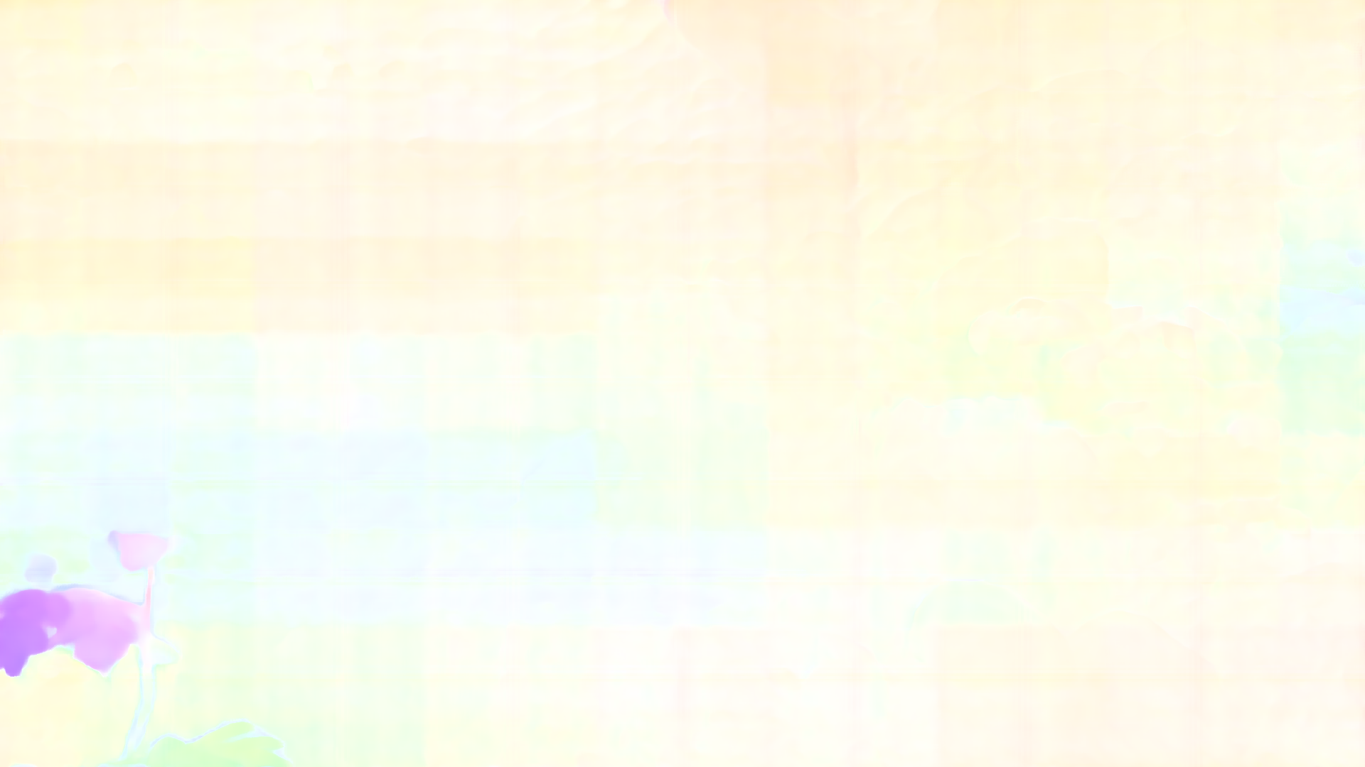 color visualization of optical flow