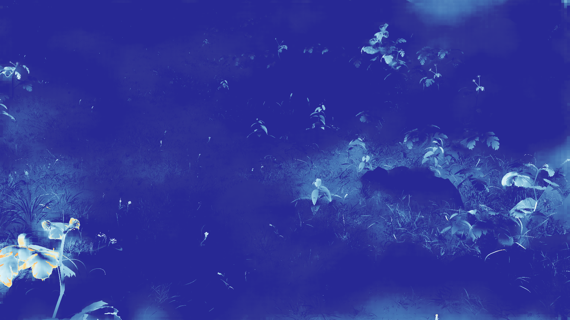 grayscale visualization of optical flow error
