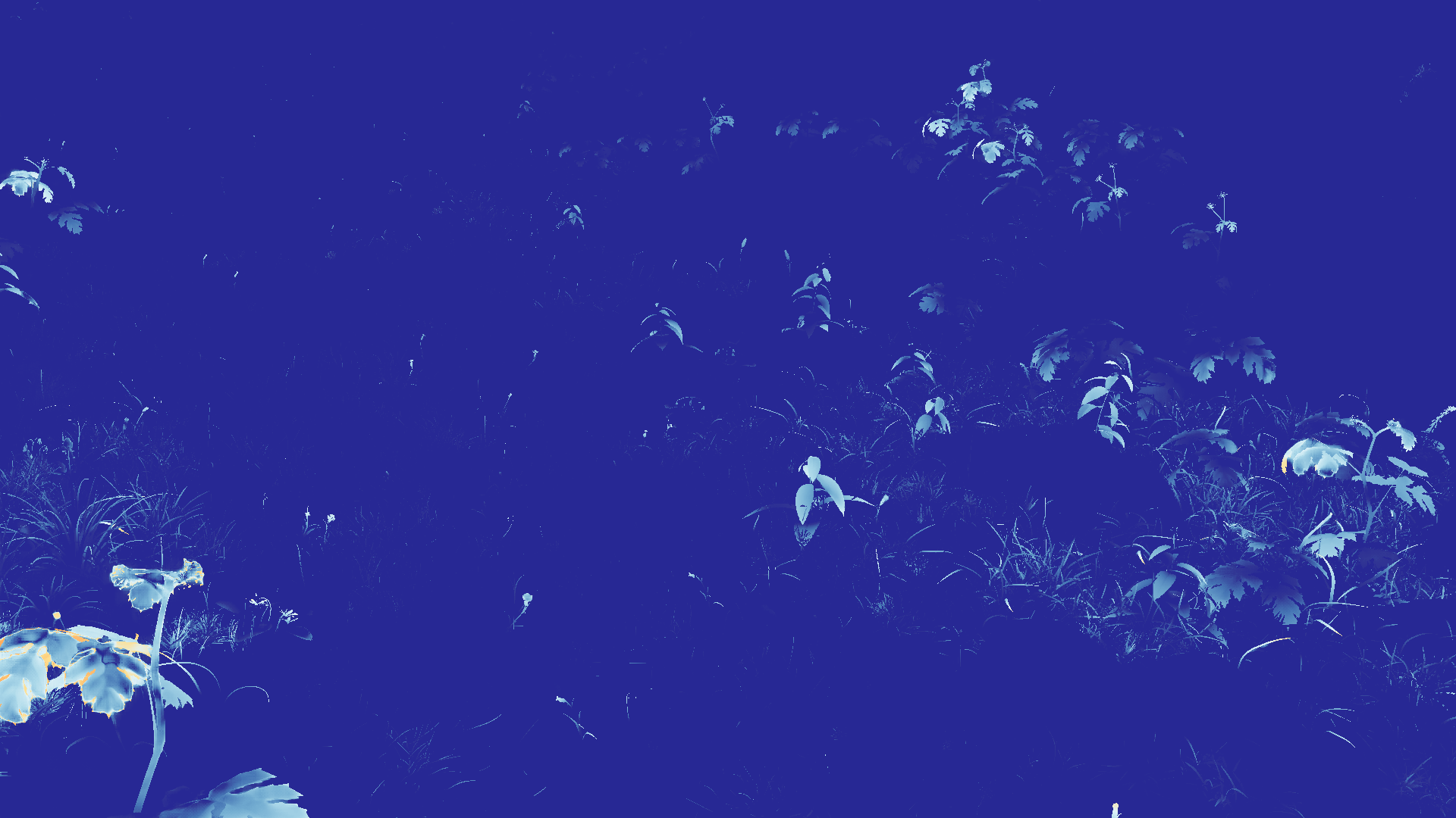 grayscale visualization of optical flow error