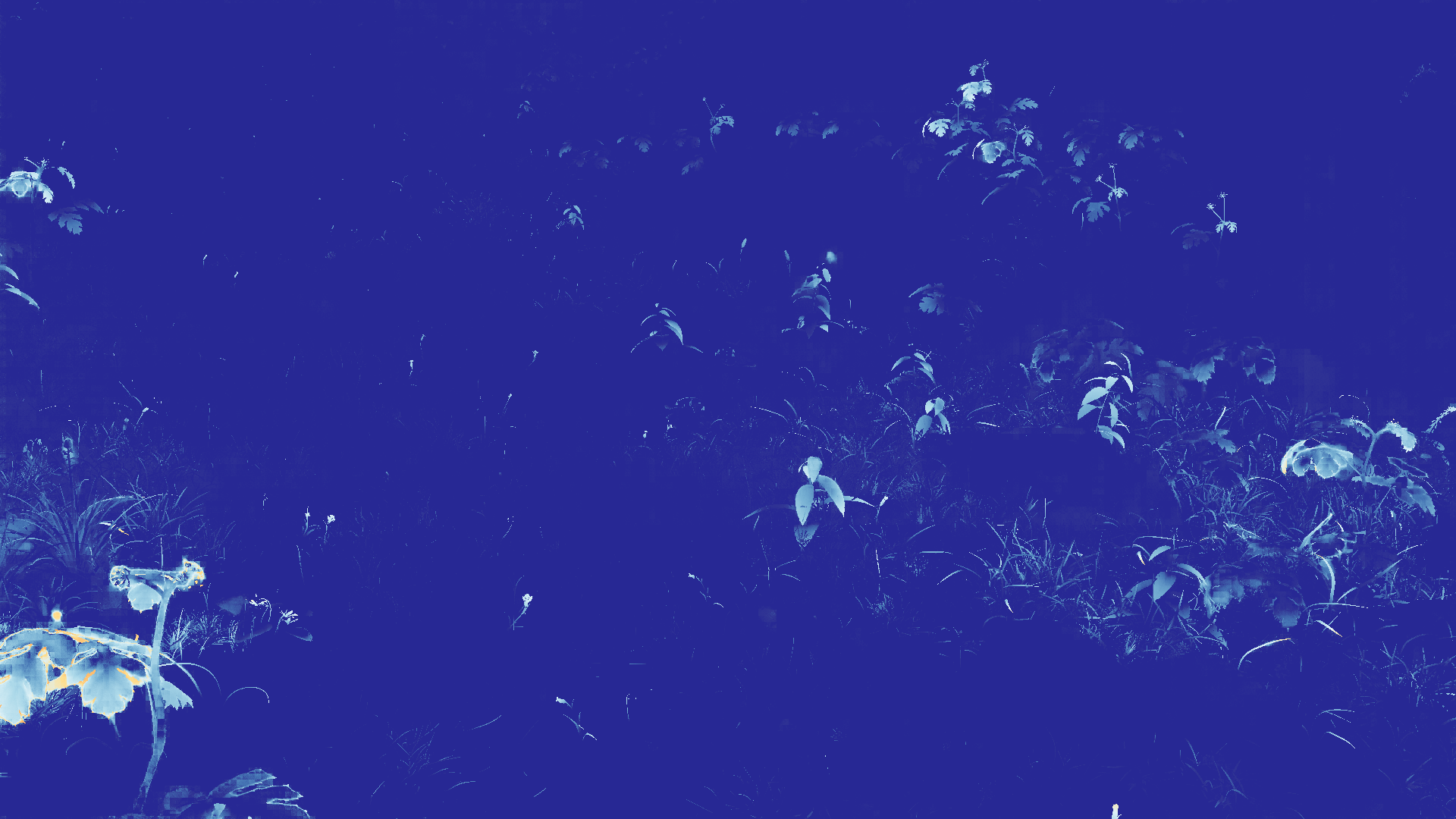 grayscale visualization of optical flow error