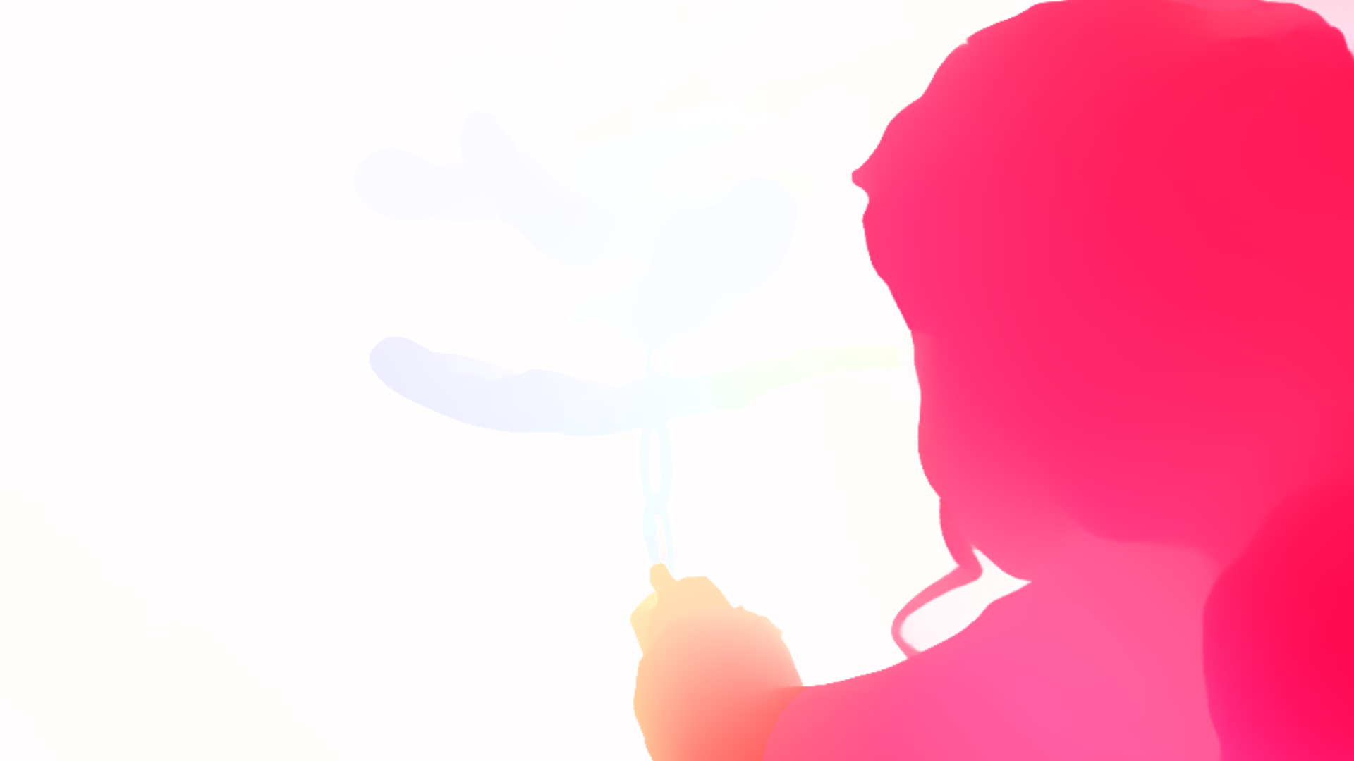 color visualization of optical flow