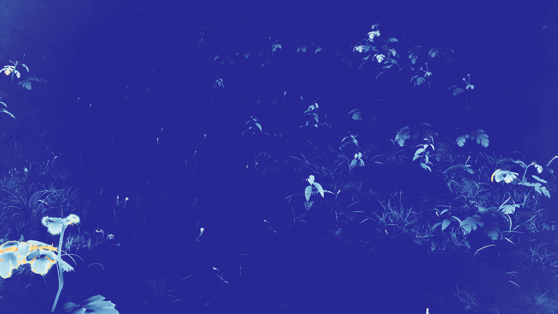 grayscale visualization of optical flow error