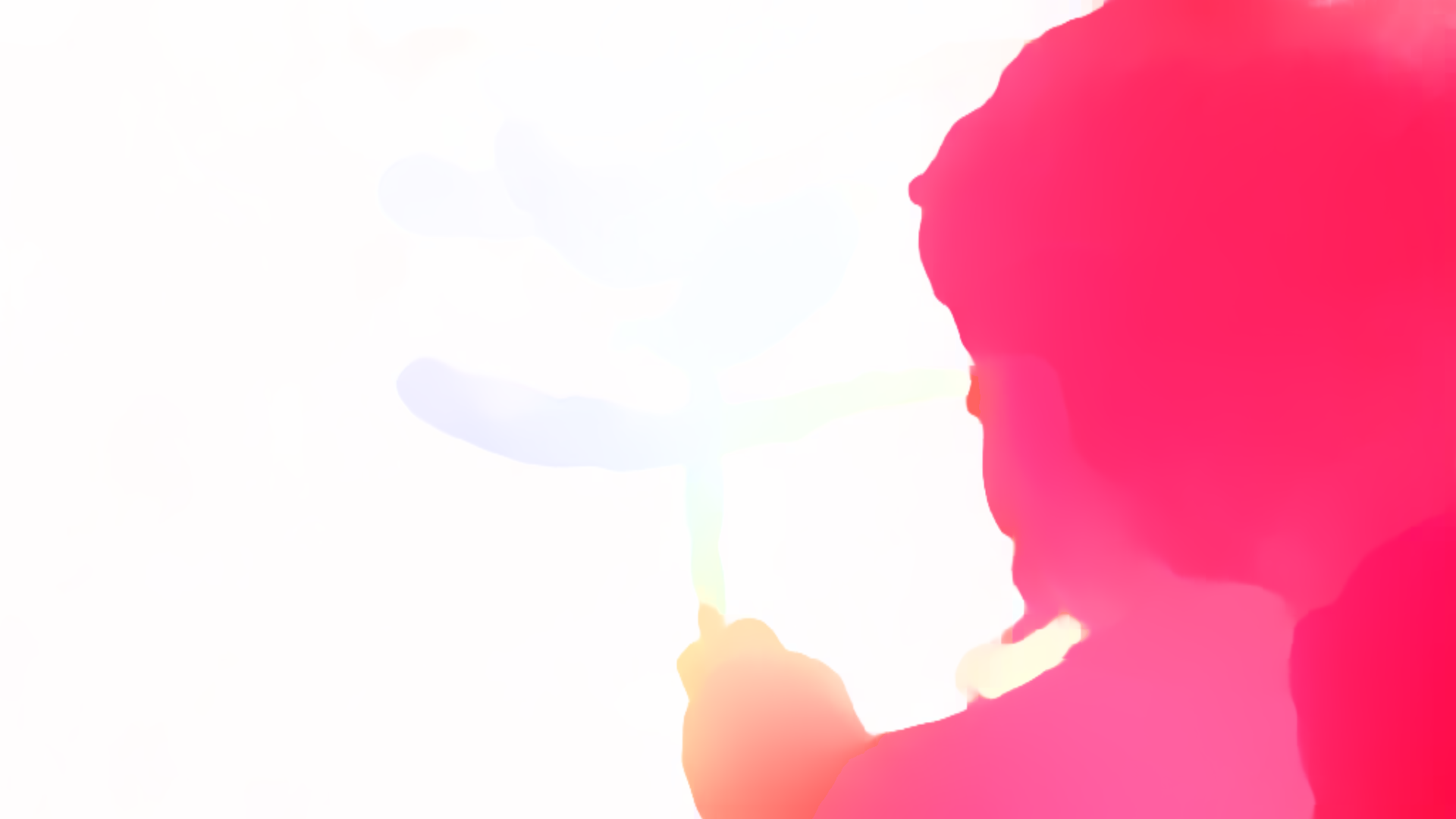 color visualization of optical flow