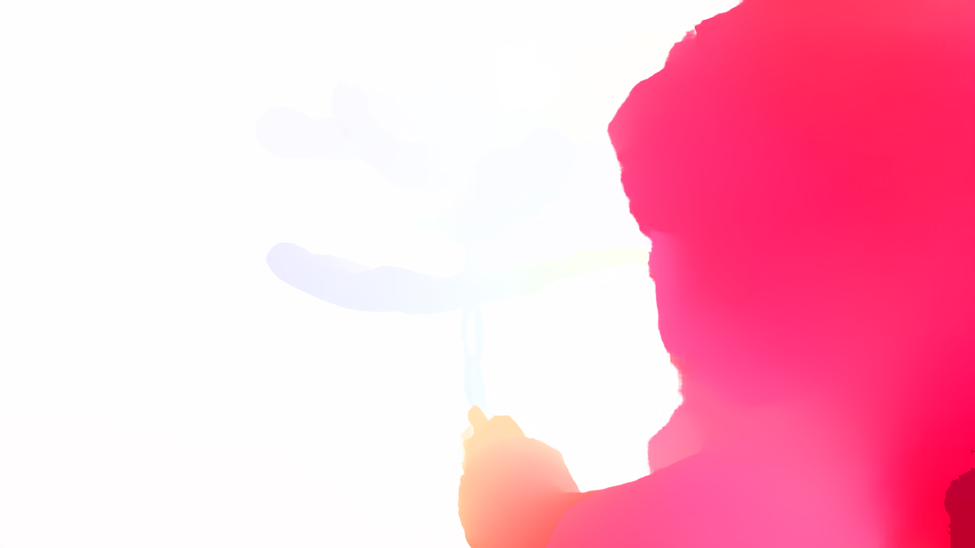 color visualization of optical flow