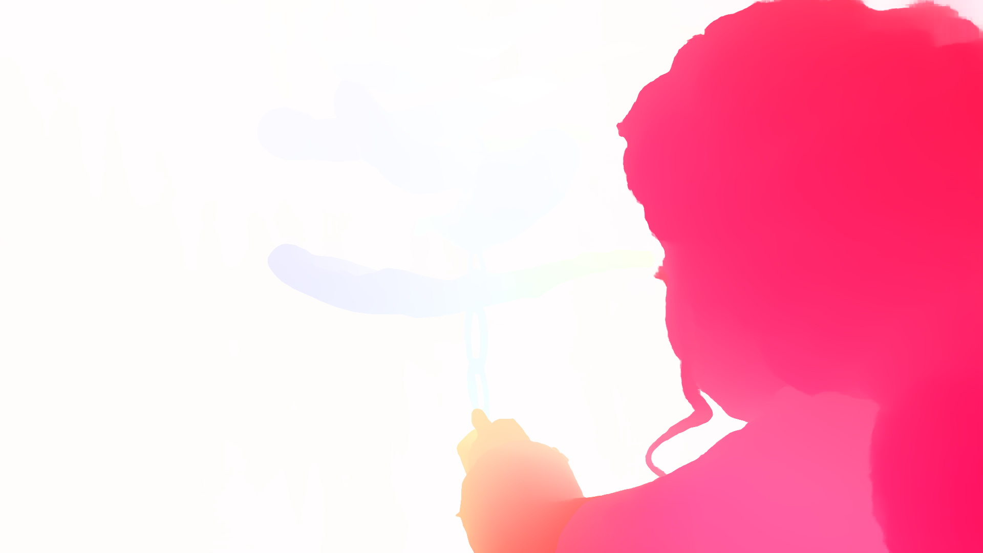 color visualization of optical flow