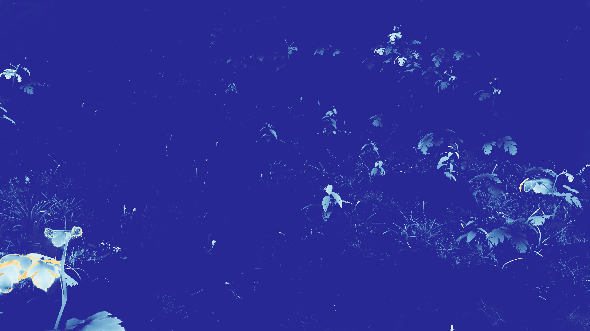 grayscale visualization of optical flow error
