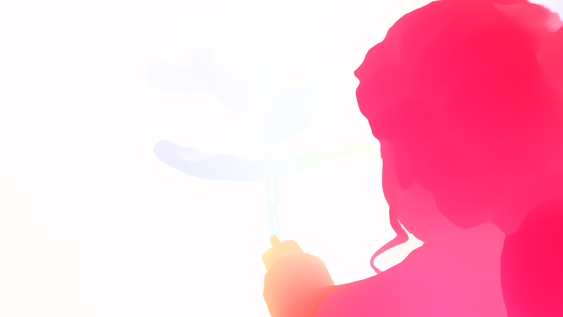 color visualization of optical flow